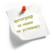 Colour style TASO 5816 класичні чоловіч труси шорти з дрібним малюнком в клітинку