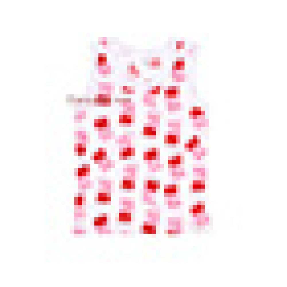 ТАТОШКА майки на дівчаток, різні кольори та малюнки