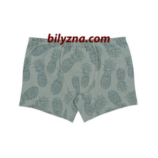 Трусики шорти з ананасами на хлопчика Donella 751093