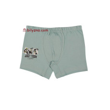 Donella 7571CY Труси шортики на хлопчика