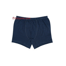 Donella 75762 труси шортиками у смужку
