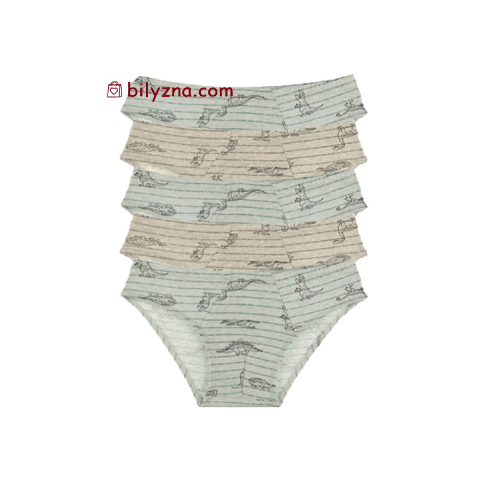 Donella 761128 Бавовняні трусики з дінозаврами на хлопчика