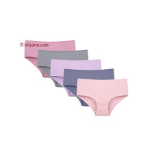 Donella 2571PD2 жіночі однотонні труси батали