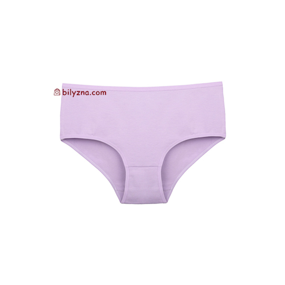 Donella 2571PD2 жіночі однотонні труси батали