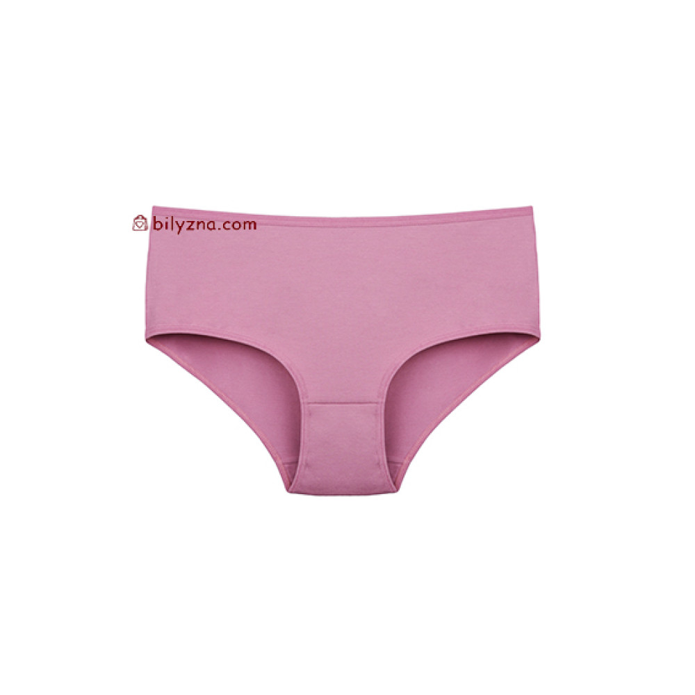 Donella 2571PD2 жіночі однотонні труси батали