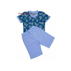 Ellen BNP 039/901 синя піжама, домашній комплект футболка, шорти з ананасами на хлопчика