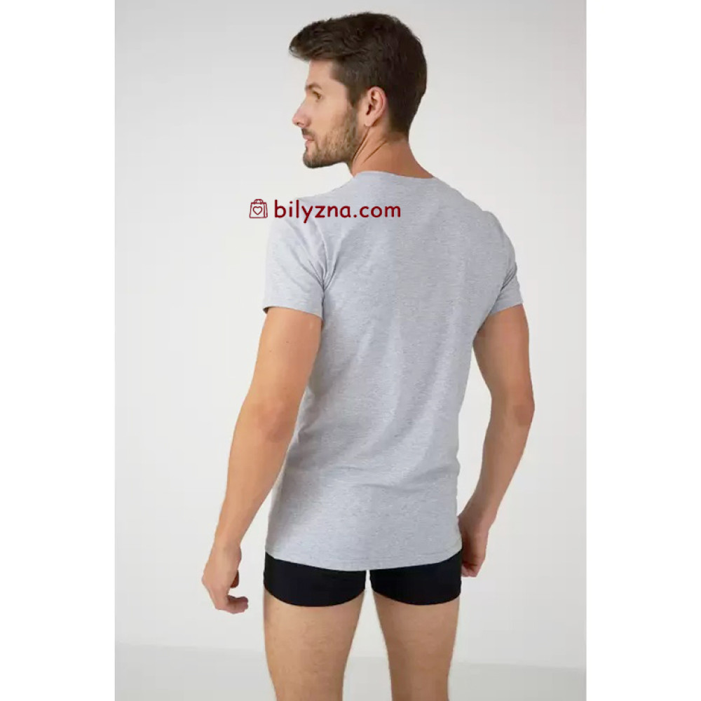 Ellen MBSK 500/01/06 світло-сіра чоловіча однотонна футболка без малюнку 