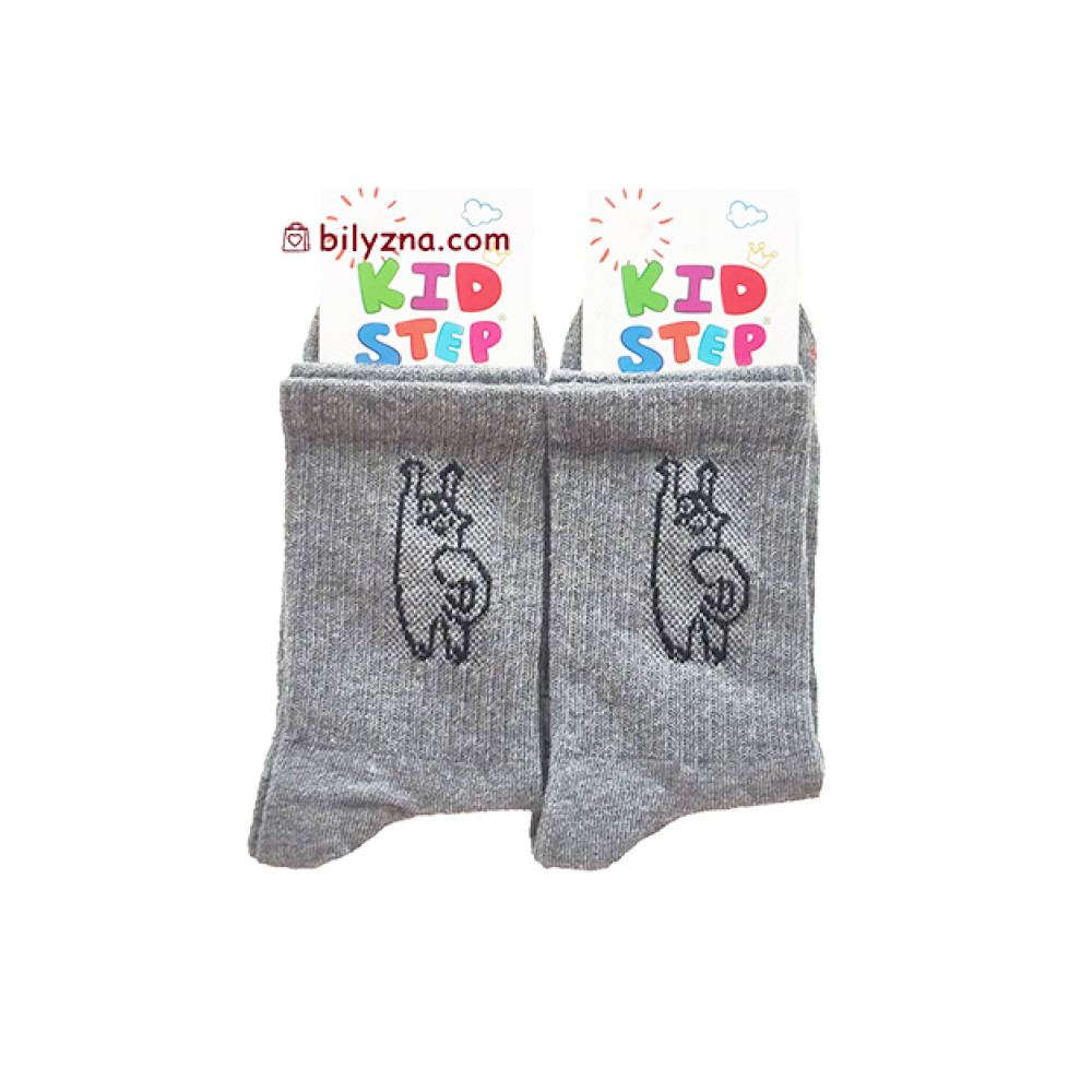 Master Step 005 дитячі шкарпетки з малюнком кіт Саймона