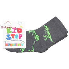 Master Step KidStep 051 махрові дитячі шкарпетки з дінозаврами