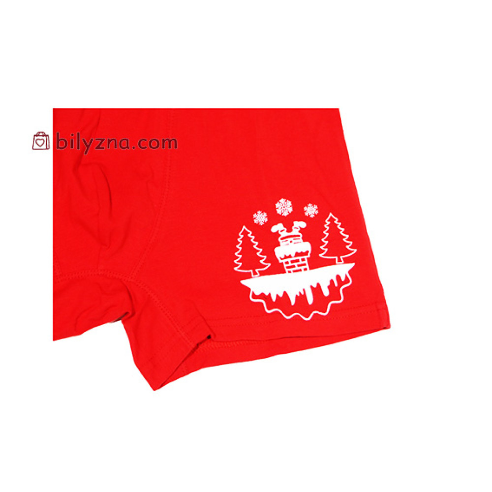 Bres by Ellen MSHK 304/03/98 набір 2шт чоловічих трусів шорт з малюнком