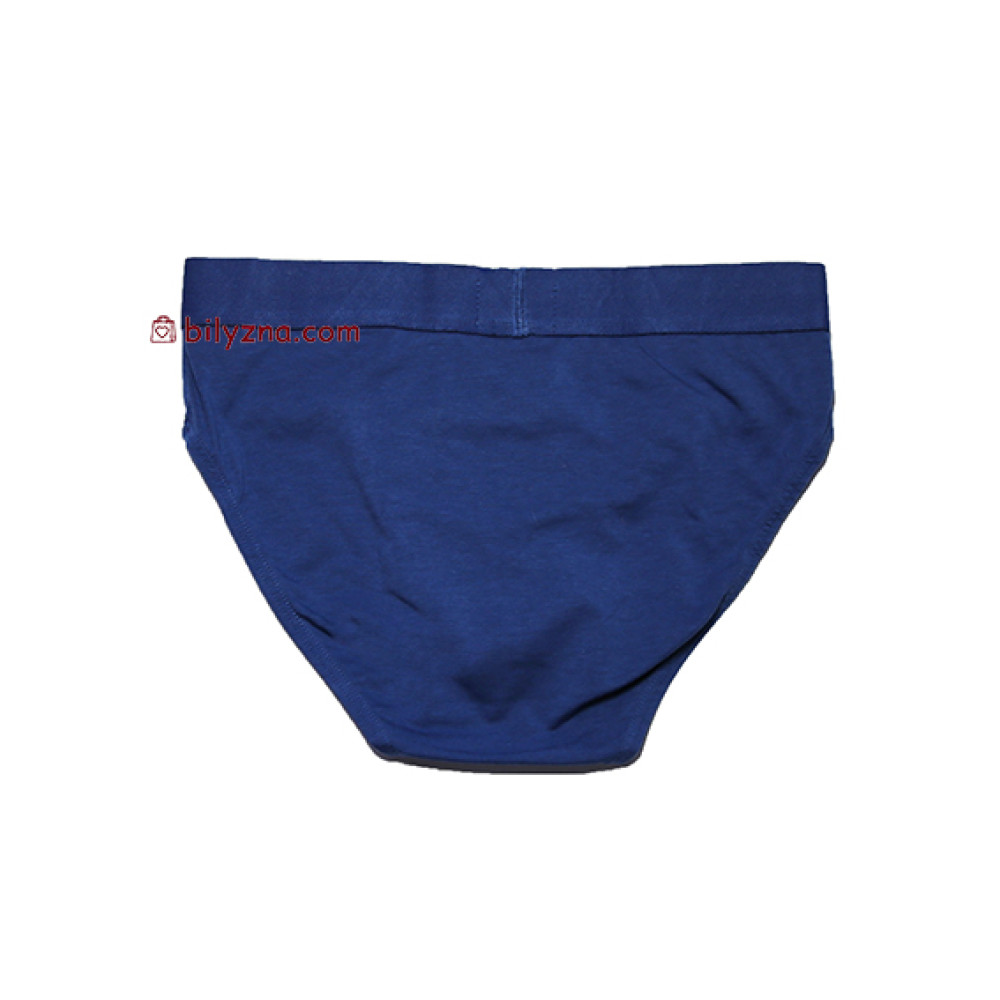 TASO 3566 Classic style чоловічі труси однотонні з широкою резинкою