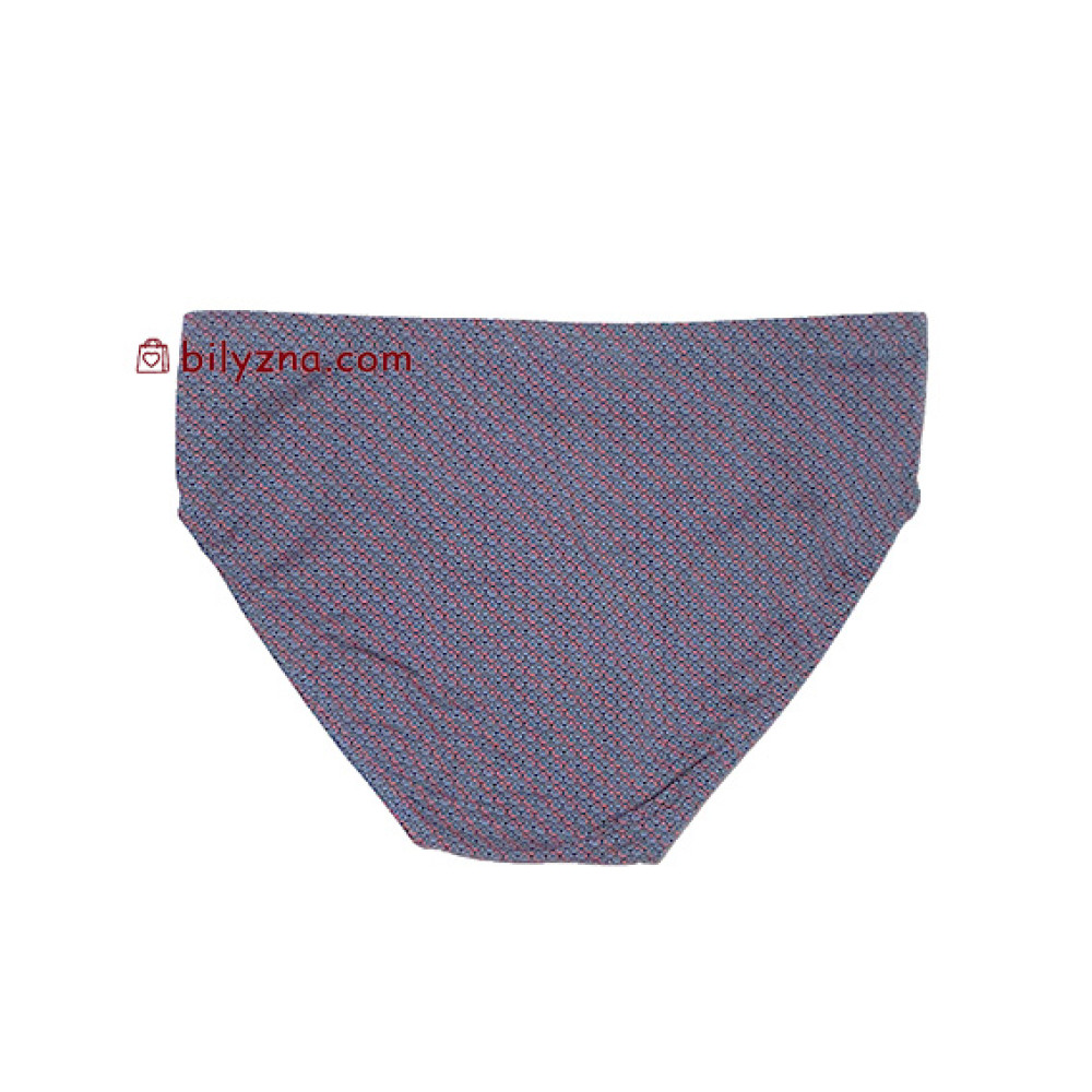 TASO 3626 Colour style бріфи з бамбуку на класичній резинці