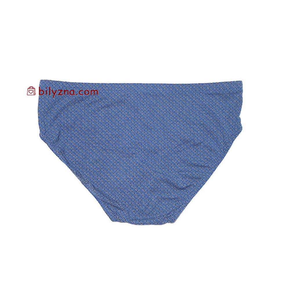 TASO 3626 Colour style бріфи з бамбуку на класичній резинці