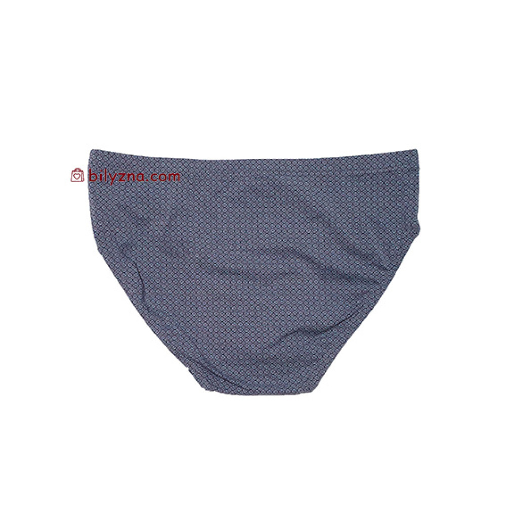 TASO 3626 Colour style бріфи з бамбуку на класичній резинці