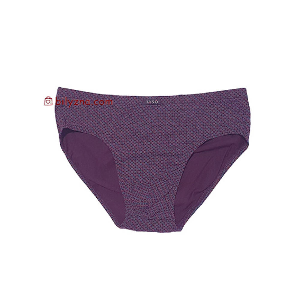 TASO 3626 Colour style бріфи з бамбуку на класичній резинці