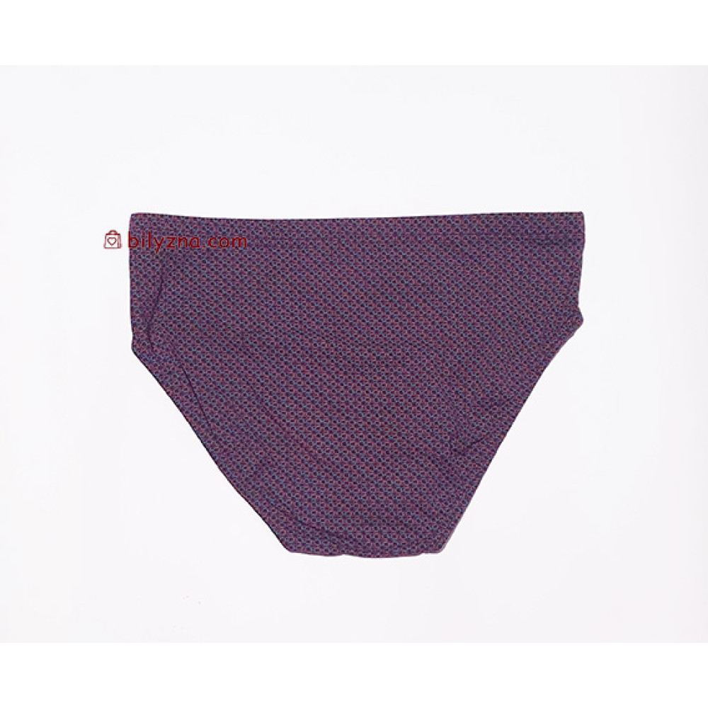 TASO 3626 Colour style бріфи з бамбуку на класичній резинці