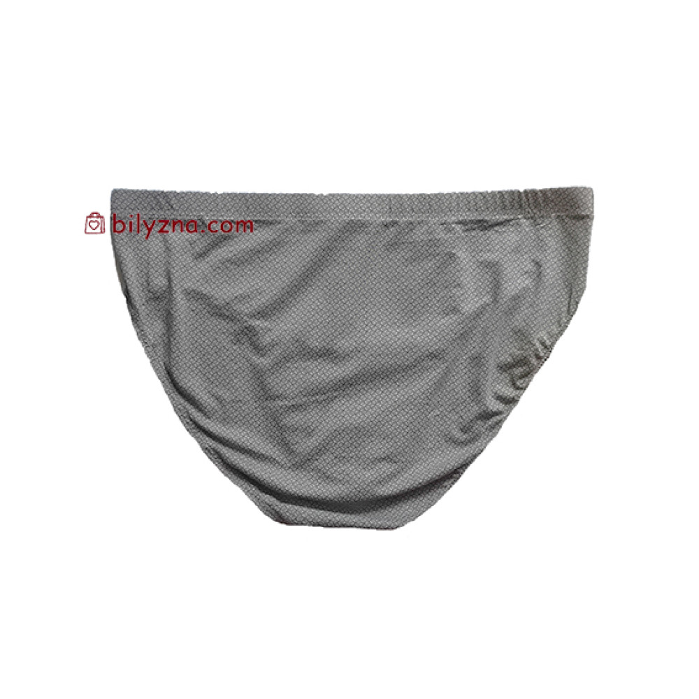 TASO 3634 Colour style труси чоловічі з класичною резинкою, тканина бамбук з бавовною