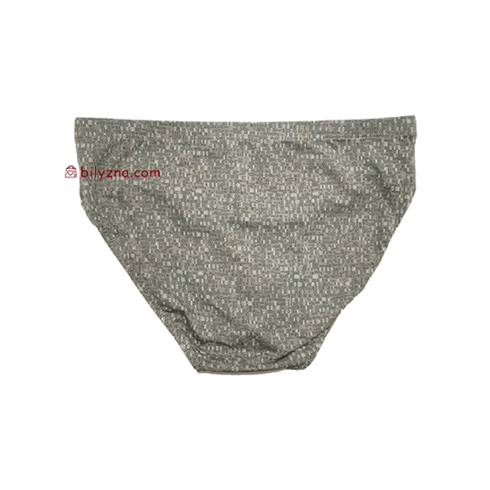 TASO 3635 Colour style бріфи чоловічі, бамбук з бавовною, класична резинка, дрібний малюнок