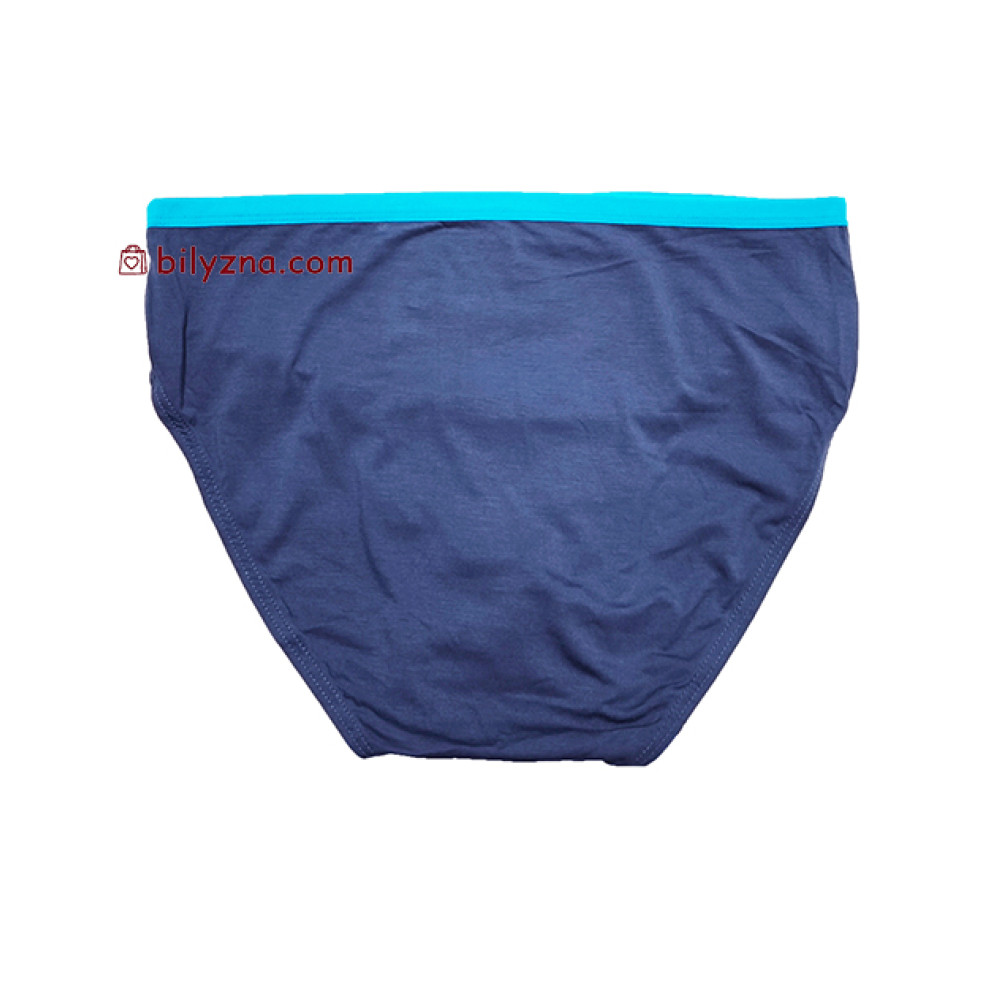 TASO 3638 Sports style чоловічі бріфи модал