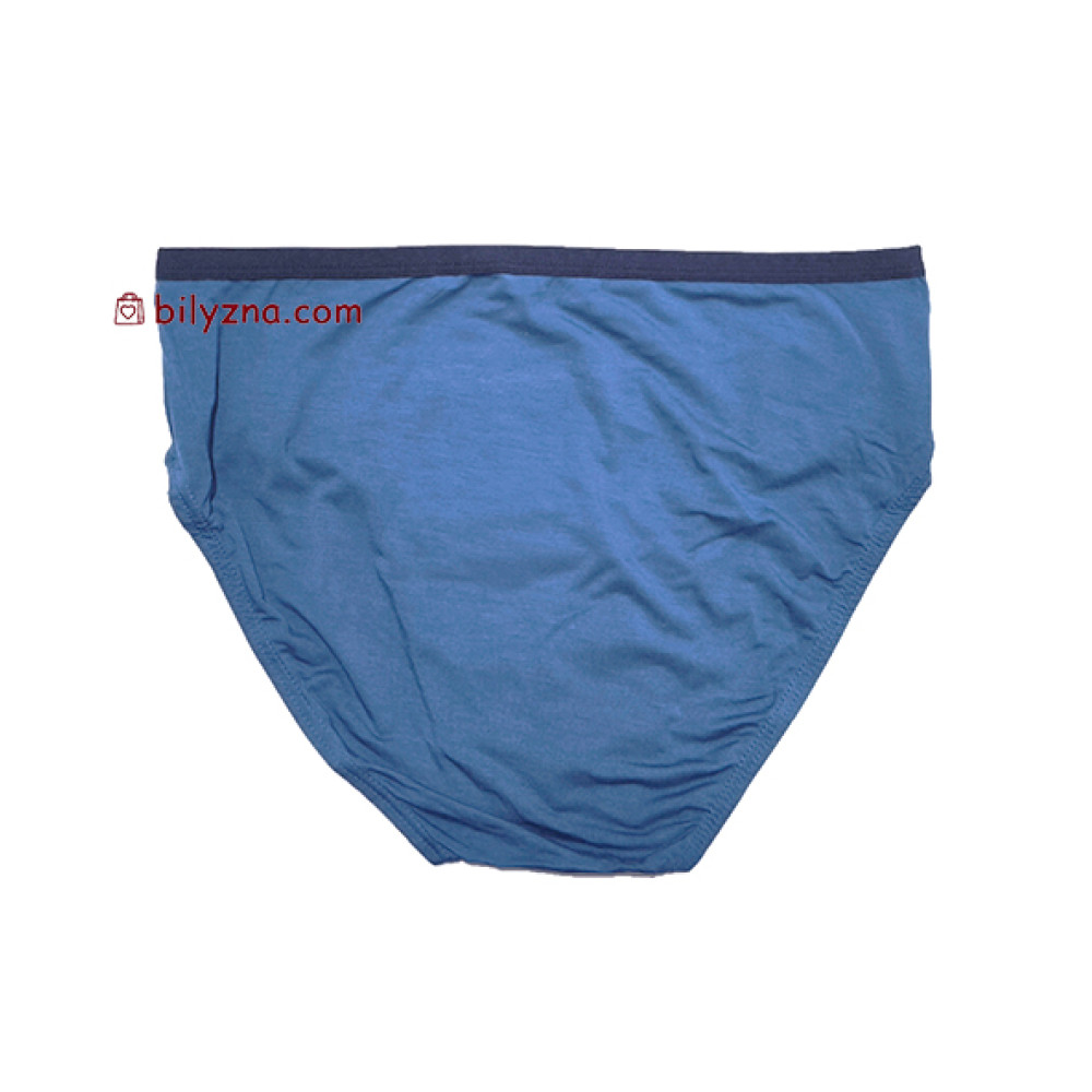 TASO 3638 Sports style чоловічі бріфи модал