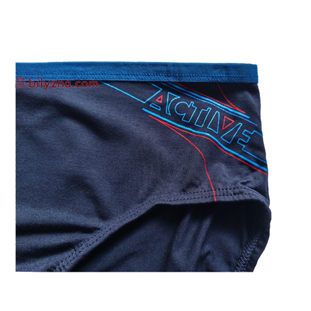 TASO 3638 Sports style чоловічі бріфи модал