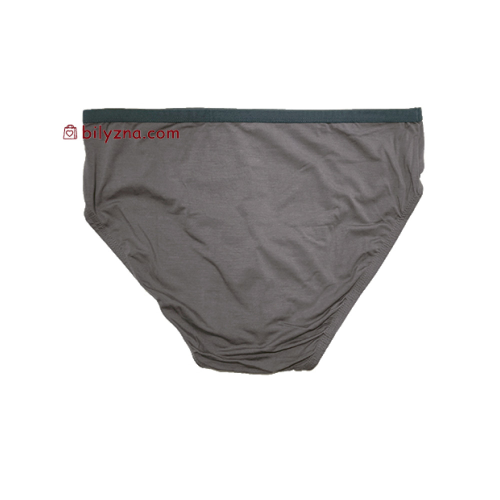 TASO 3638 Sports style чоловічі бріфи модал