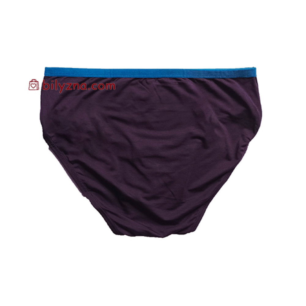 TASO 3638 Sports style чоловічі бріфи модал