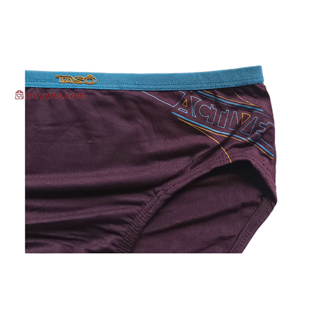 TASO 3638 Sports style чоловічі бріфи модал