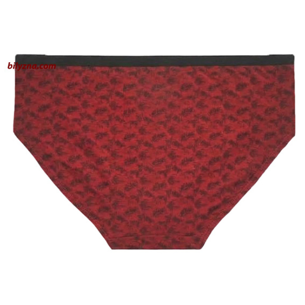 TASO 3643 Colour style бамбукові чоловічі бріфи на тонкій резинці
