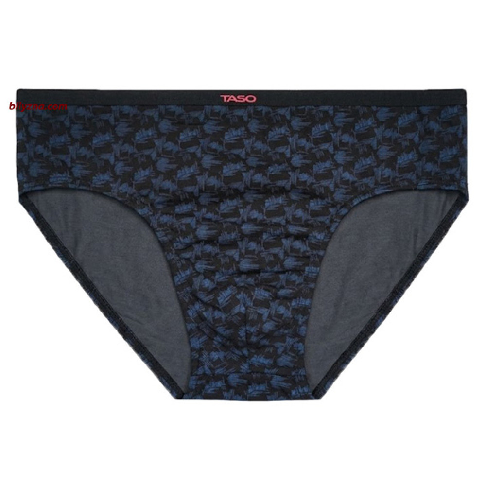 TASO 3643 Colour style бамбукові чоловічі бріфи на тонкій резинці