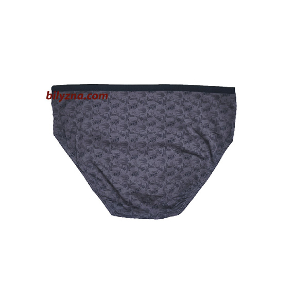TASO 3643 Colour style бамбукові чоловічі бріфи на тонкій резинці