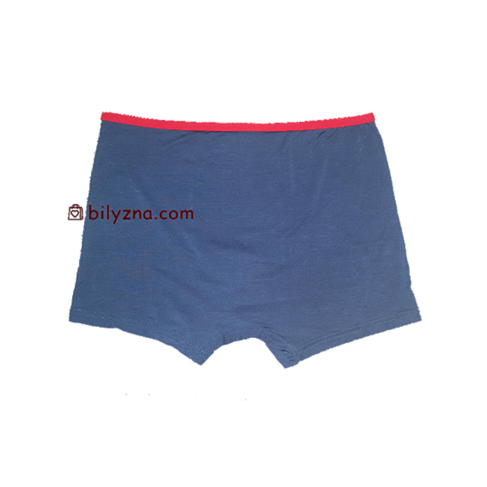 TASO DM 5556 SPORTS STYLE  чоловічі труси шорти на вузькій резинці, модал