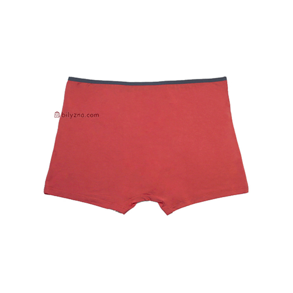 TASO DM 5556 SPORTS STYLE  чоловічі труси шорти на вузькій резинці, модал