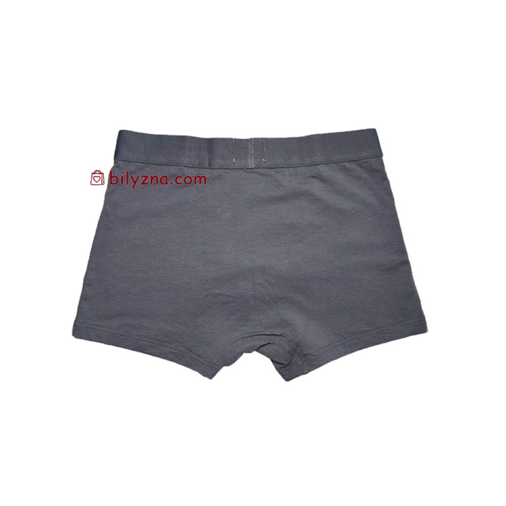 TASO 5566 Sports style однотонні чоловічі труси шорти, бамбук з бавовною