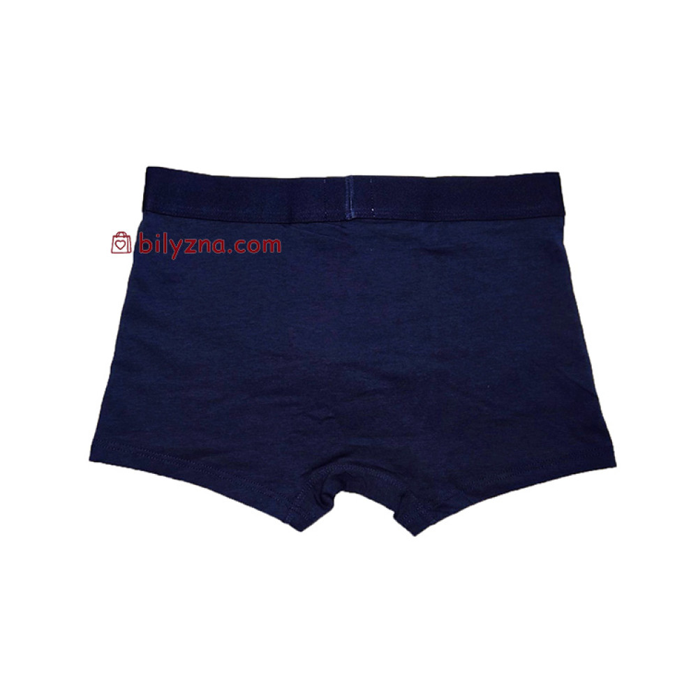 TASO 5566 Sports style однотонні чоловічі труси шорти, бамбук з бавовною