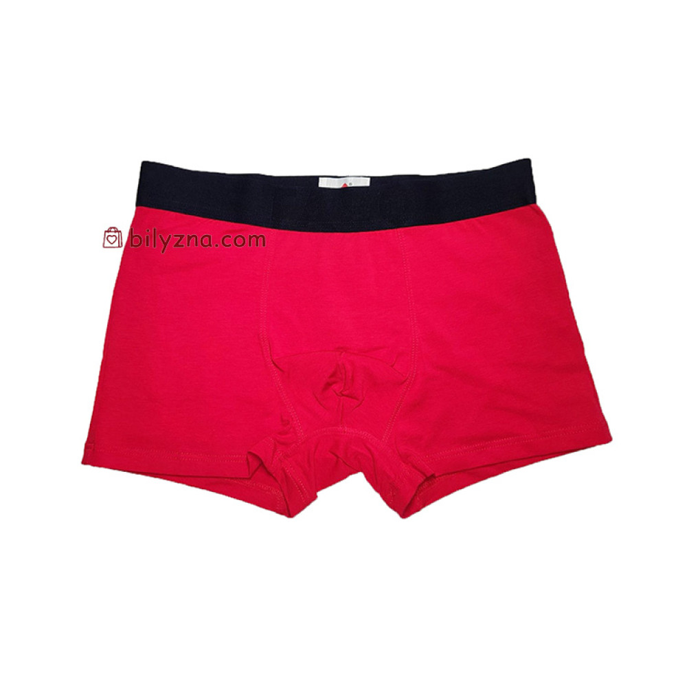 TASO 5566 Sports style однотонні чоловічі труси шорти, бамбук з бавовною