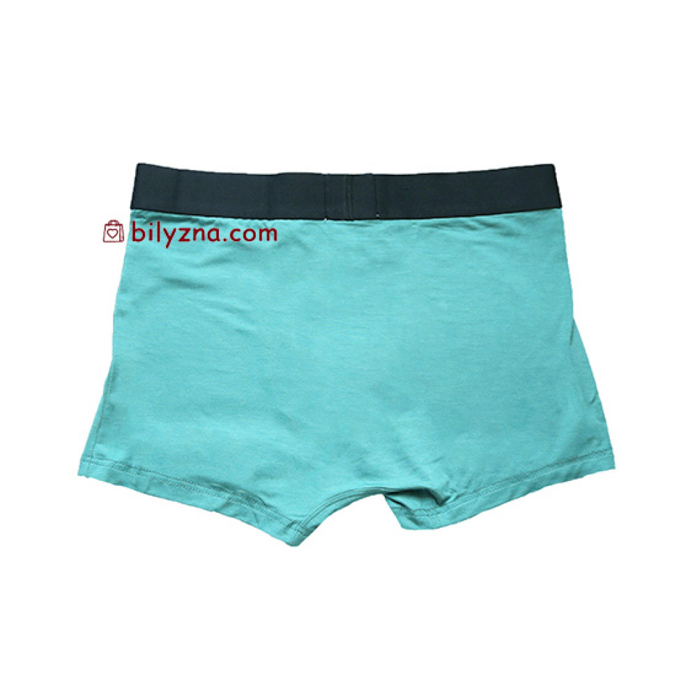 TASO 5566 Sports style однотонні чоловічі труси шорти, бамбук з бавовною