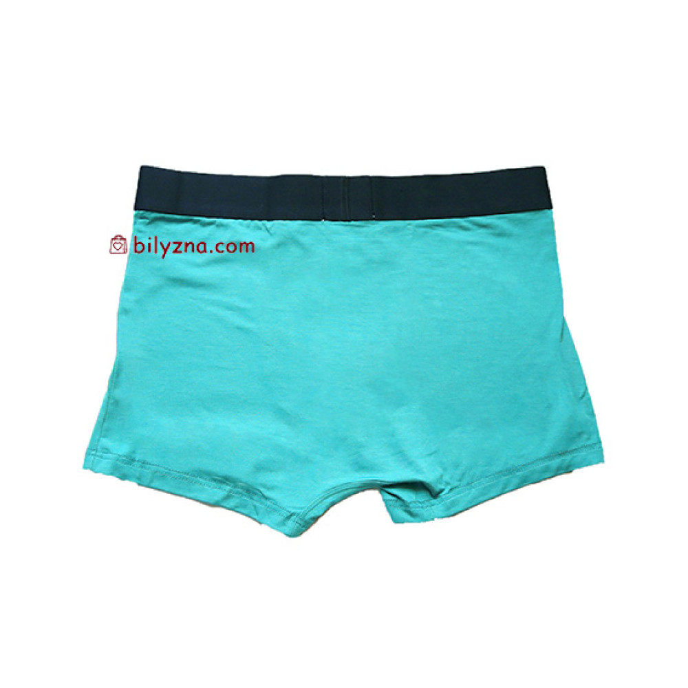 TASO 5603 Sports style однотонні чоловічі труси з широкою резинкою, без малюнку, модал