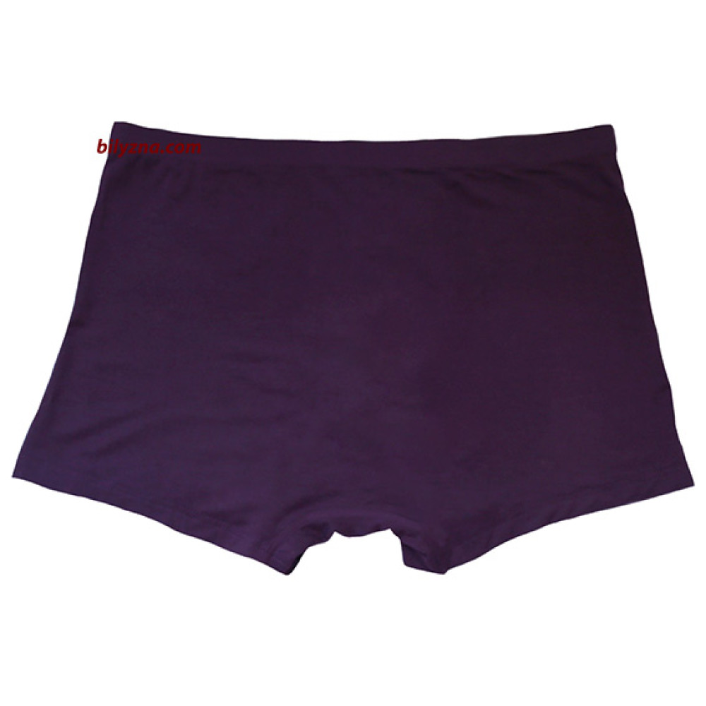TASO 5606 Classic style модал чоловічі труси шорти батал, без малюнку великих розмірів
