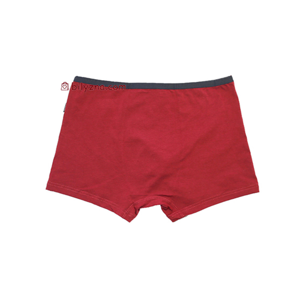 TASO DH 5636 Classic style бамбукові боксерки без малюнку з тонкою резинкою