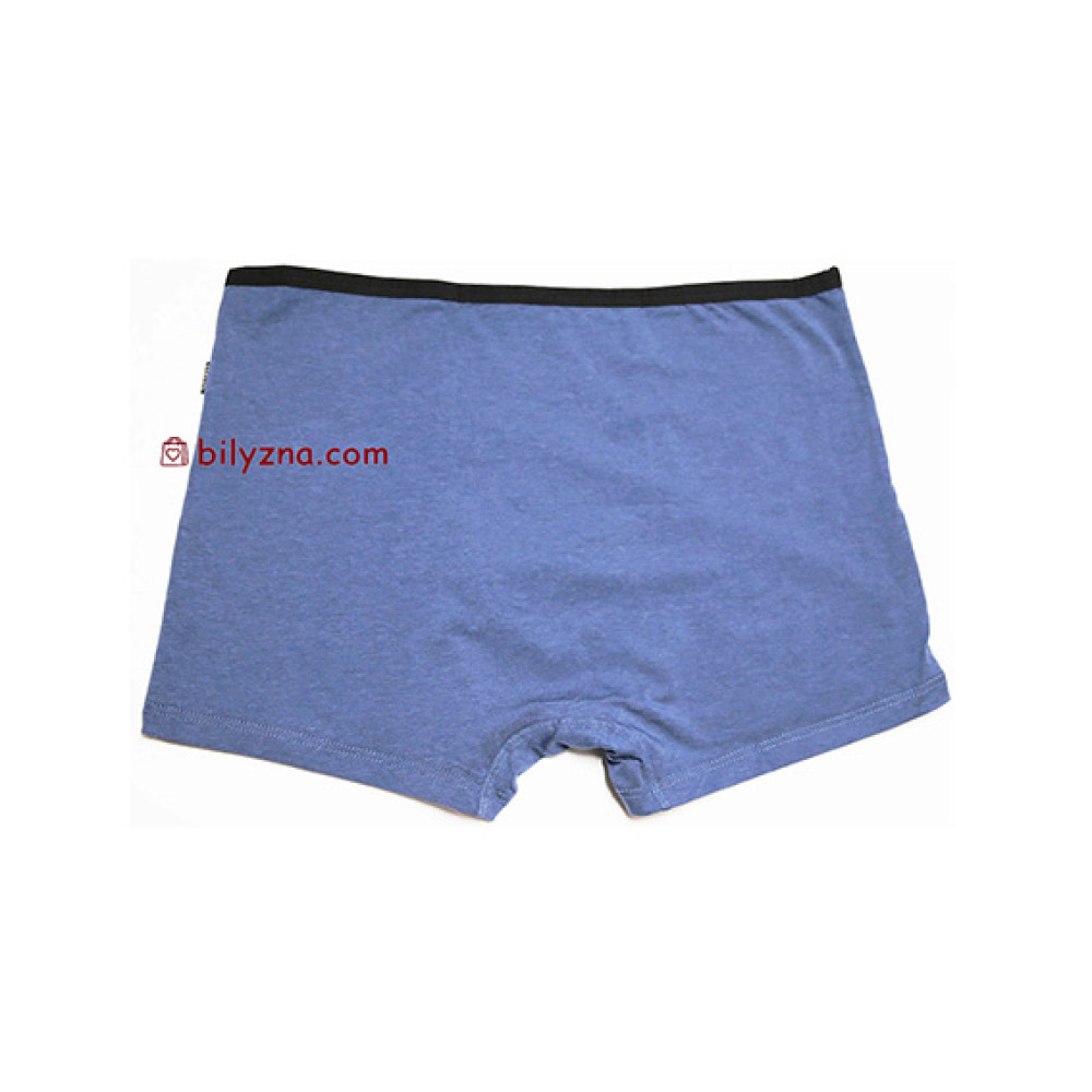 TASO DH 5636 Classic style бамбукові боксерки без малюнку з тонкою резинкою