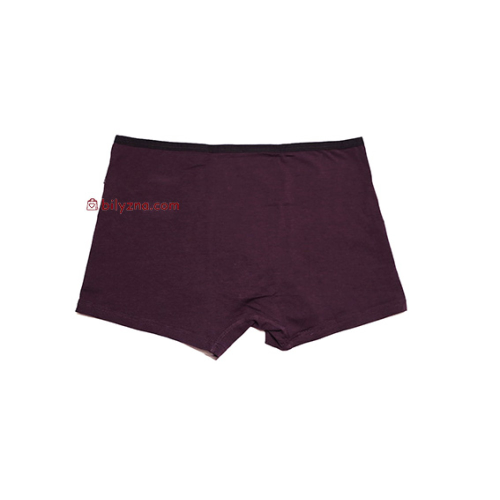 TASO DH 5636 Classic style бамбукові боксерки без малюнку з тонкою резинкою