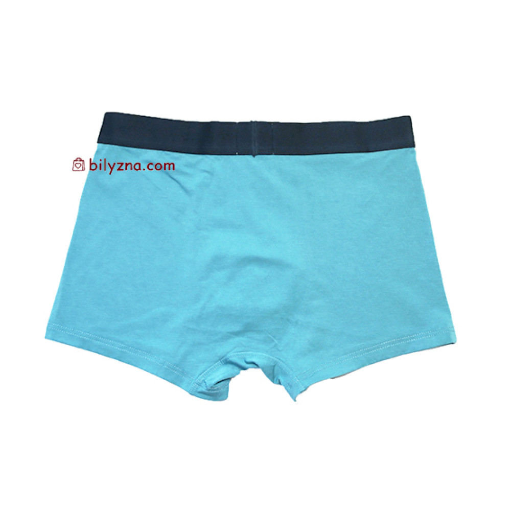 TASO 5695 Sports style чоловічі труси шорти, бамбук