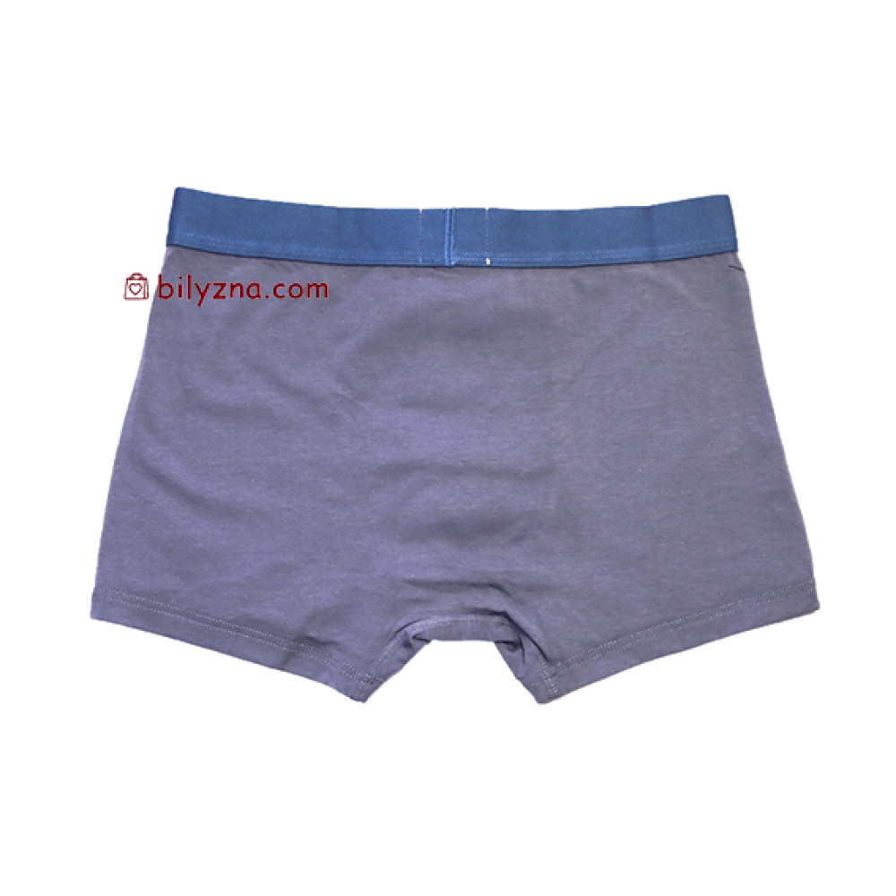 TASO 5695 Sports style чоловічі труси шорти, бамбук