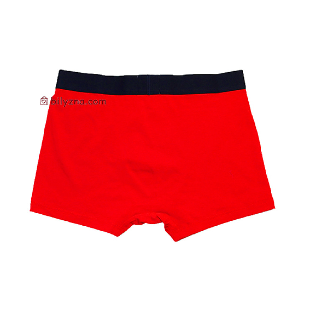 TASO 5695 Sports style чоловічі труси шорти, бамбук