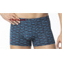 TASO 5726 Colour style модал чоловічі труси шорти