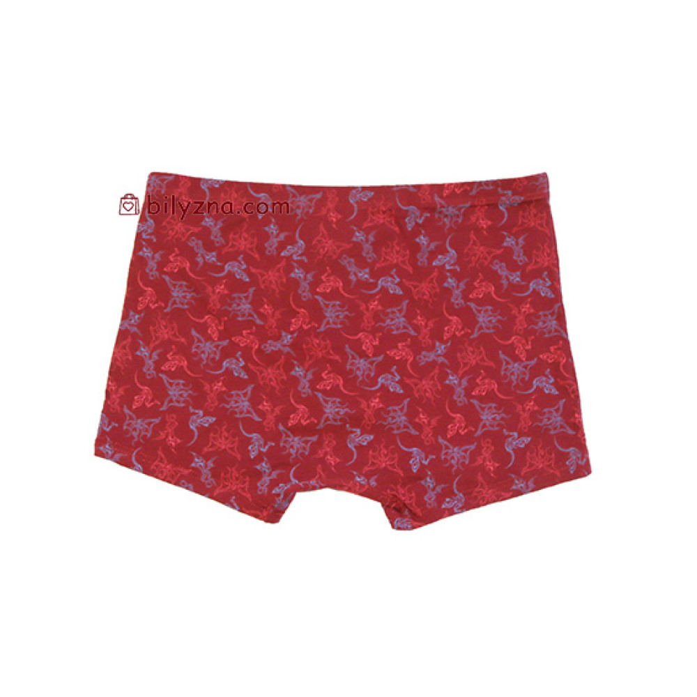 TASO 5775 Colour style бамбукові чоловічі труси шорти з класичною резинкою та малюнком Дракона