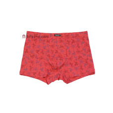 TASO 5775 Colour style бамбукові чоловічі труси шорти з класичною резинкою та малюнком Дракона