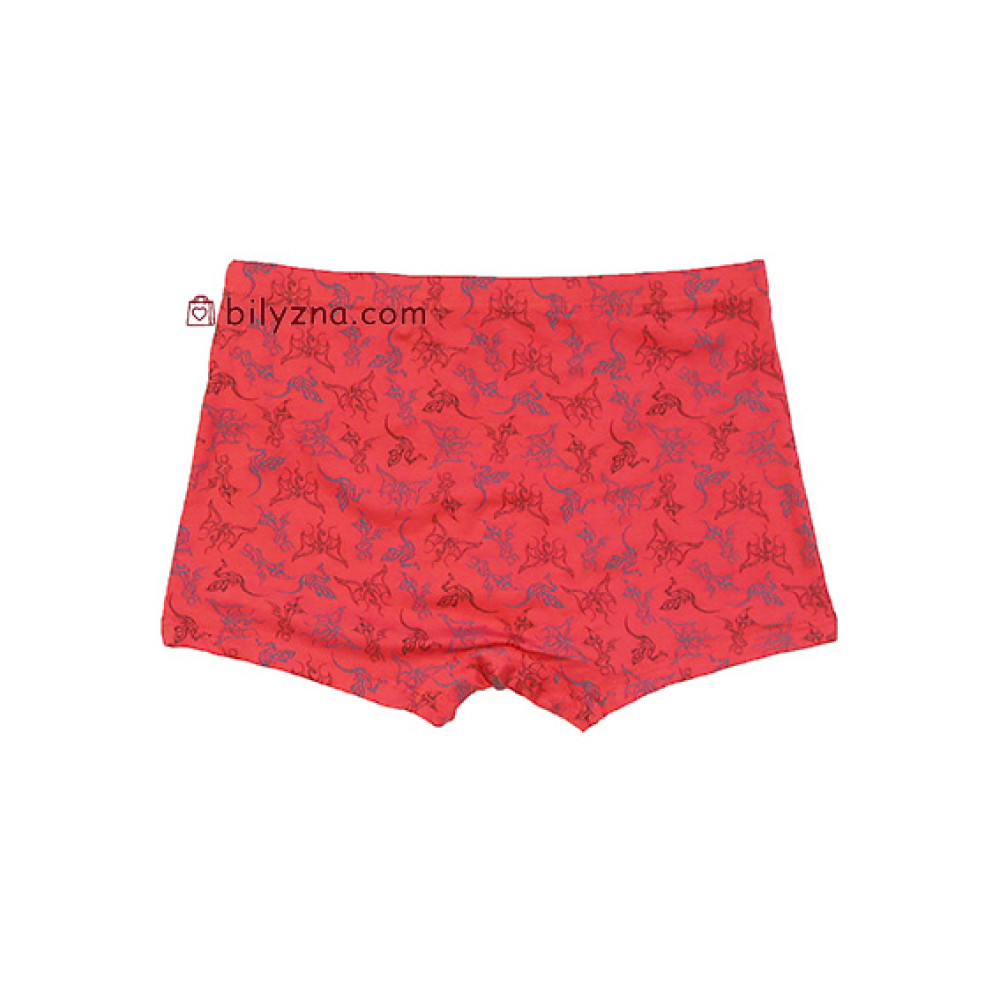 TASO 5775 Colour style бамбукові чоловічі труси шорти з класичною резинкою та малюнком Дракона