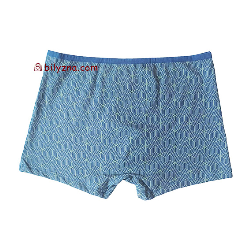 TASO 5781 Colour style труси шорти, бавовна